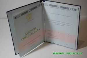 Купить диплом в Домодедово Белгородского филиала СГА — Современной Гуманитарной Академии